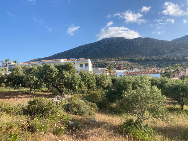 Ein Grundstück zum Verkauf in Cala d'Or, Mallorca, mit Bäumen, Pflanzen, Gras, Steinen und Gebäuden im Vordergrund und Bergen im Hintergrund unter einem bewölkten Himmel.