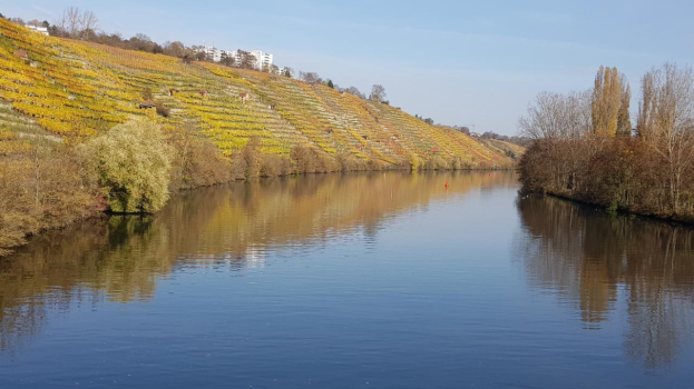 Ein Fluss fließt durch ein grünes Feld neben einem mit Bäumen und Pflanzen bedeckten Hügel, mit Weinbaudgebäuden im Hintergrund unter einem klaren blauen Himmel.