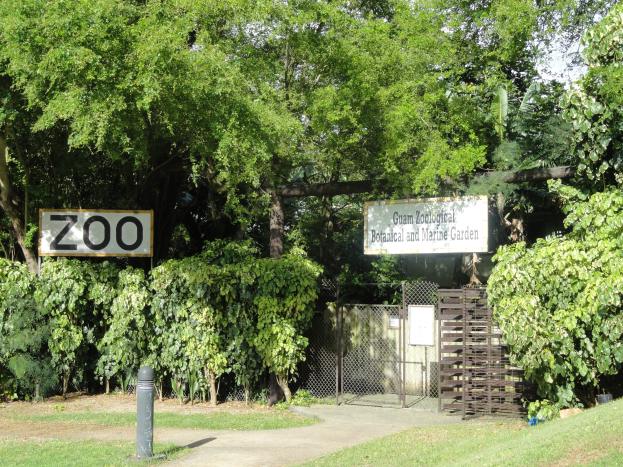 Eingang zu einem Zoo mit einem "Zoo"-Schild, umgeben von üppiger Vegetation, hohen Bäumen, einem hellblauen Himmel, einem Vordergrundpfahl und einem Maschendrahtzaun im Hintergrund.
