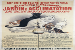 Ein Plakat, das eine Katzenschau im Jardin d'Acclimation ank├╝ndigt und verschiedene Katzen in unterschiedlichen Farben zeigt.
