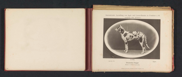Ein aufgeschlagenes Buch mit dem Titel "Internationale Ausstellung von Jagd- und Luxushunden in Frankfurt a. M." mit einem Schwarz-Weiß-Foto eines Hundes und begleitendem Text.