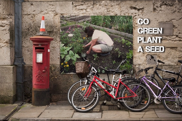 Fahrr√§der in der N√§he eines Briefkastens mit einer Sicherheitskegel auf dem Postkasten, ein Plakat an einer Wand im Hintergrund und ein Weg am unteren Rand des Bildes.