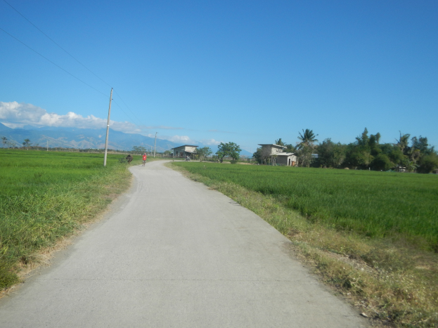Ein Schotterweg windet sich durch ein saftiges grünes Feld mit Menschen, die Fahrräder fahren, umgeben von Pflanzen und Gras, mit einem Strommast, Häusern, Bäumen, Hügeln und einem bewölkten Himmel im Hintergrund.
