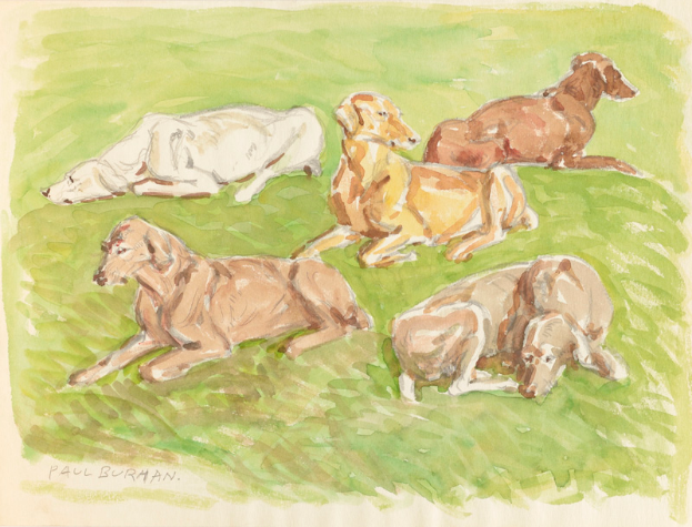 Ein realistische Malerei von mehreren Dackeln, die auf einem leuchtend grünen Feld unter einem sonnigen Himmel liegen.