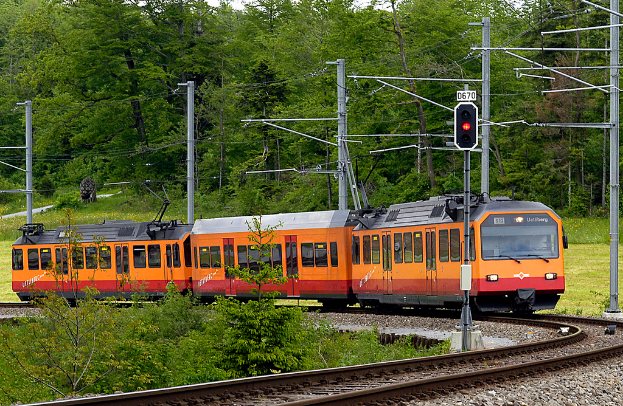 Ein Zug auf den Schienen mit elektrischen Masten und Kabeln, umgeben von Bäumen, Blumen, Pflanzen und Gras.