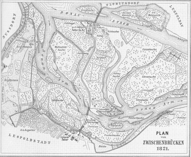 Eine Schwarz-Weiß-Karte der Stadt Zwischenbrucken aus dem Jahr 1821, die detaillierte Straßen und Text zeigt.