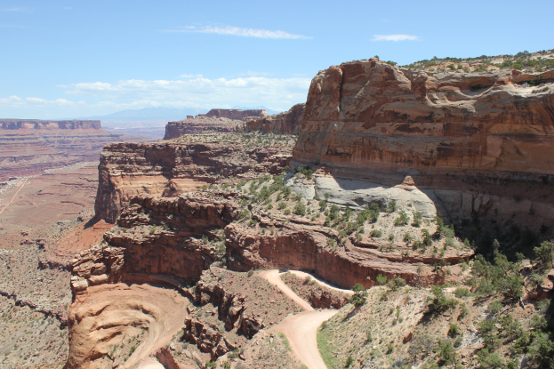 Eine Panoramablick auf den Canyonlands-Nationalpark in Utah, mit sanft gewellten Hügeln, vereinzelten Bäumen und Pflanzen unter einem bewölkten Himmel.