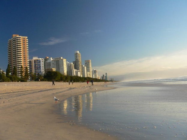 Ein Strand in Surfers Paradise, Queensland, Australien, mit Menschen, die am Ufer entlanggehen, einem Vogel am Himmel und hohen Gebäuden im Hintergrund, umgeben von Bäumen und unter einem bewölkten Himmel.