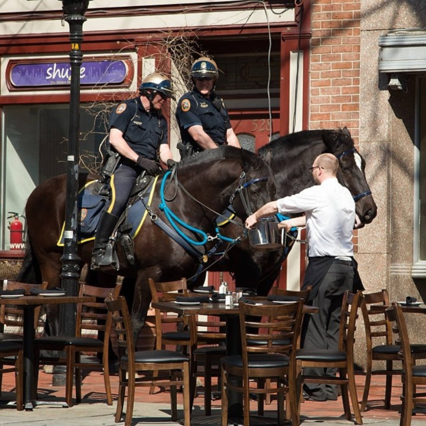 Zwei Personen sitzen auf einem Pferd mit Stühlen in der Nähe und eine Person füttert das Pferd.