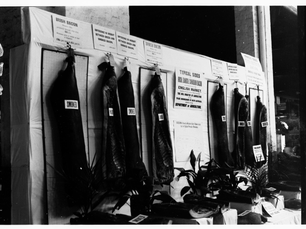 Ein Schwarz-Weiß-Foto einer Metzgerei mit verschiedenen Fleischsorten an einer Wand, umgeben von Pflanzen und anderen Gegenständen auf einem Tisch, mit Papieren an der Wand.