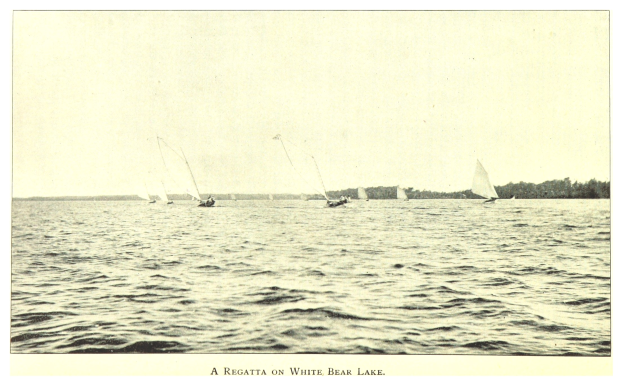 Doppelfeier am Osendorfer See: Halle Dragon Boat Cup feiert 20. Jubiläum an diesem Wochenende