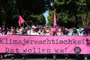 Eine Gruppe von Menschen, die eine rosa 'Women's March'-Fahne schwingend die Straße entlang marschiert, wobei einige Mützen und Schutzbrillen tragen und andere Fahnen halten, vor einem klaren blauen Himmel mit Bäumen im Hintergrund.