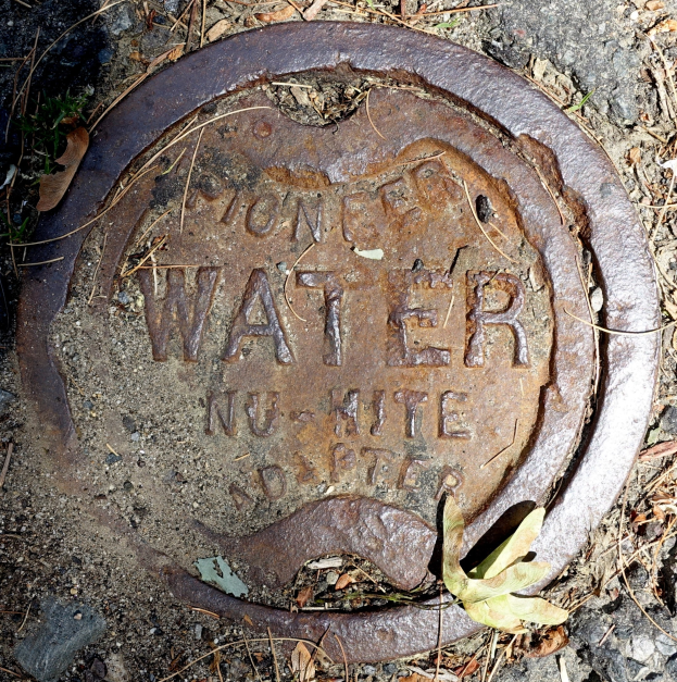 Ein Metall-Schachtobjekt mit der Aufschrift "Wasser" in trockenen Blättern und Gras eingebettet.
