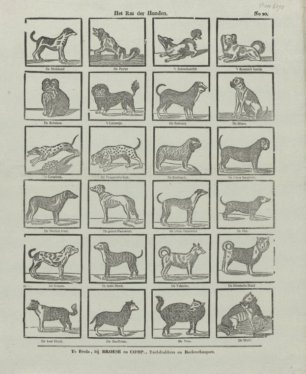 Ein offenes altes Buch mit Abbildungen verschiedener Hundezuchten neben beschreibendem Text.