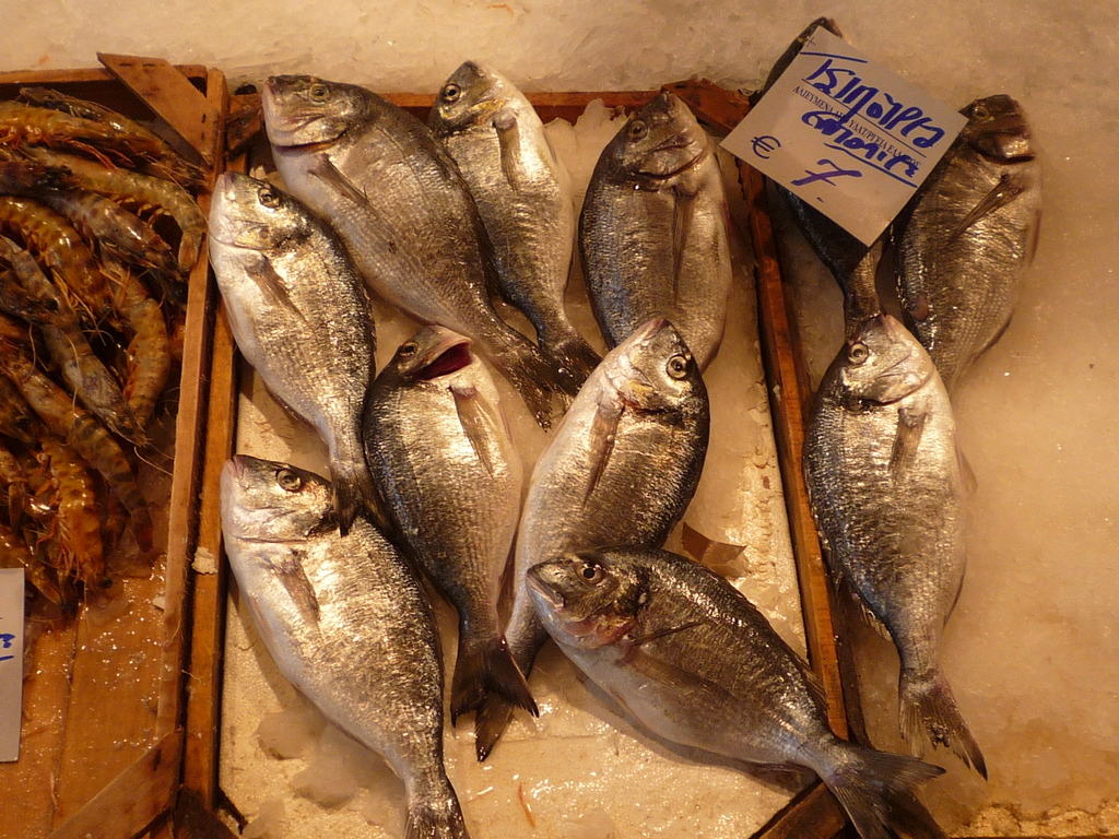 Holztrays gefüllt mit Fisch und Garnelen auf Eis, mit einem Papier auf der rechten Seite der Trays.