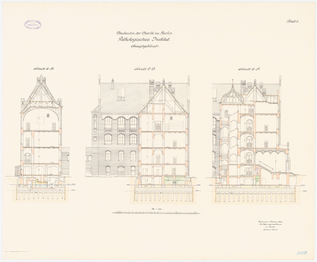 Schwarzes und weißes Architekturzeichnung des Charles II-Schule in Berlin, das ein Gebäude mit zahlreichen Fenstern und detaillierte Grundrisse zeigt.