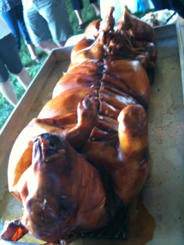 Ein Ferkel auf einem Metallteller mit ein paar Personen, die auf der Wiese in der oberen linken Ecke stehen.