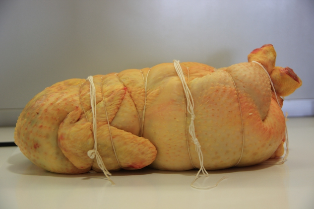 Fleischstücke mit Fäden zusammengebunden vor einem weißen Hintergrund.