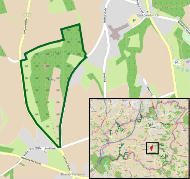 Detailierte Stadtkarte mit einem zentralen grünen Bereich, der für die geplante Entwicklung markiert ist, zeigt Straßen, Gebäude und Sehenswürdigkeiten.