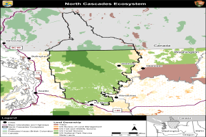 Ein Plakat mit einer Karte des Ökosystems North Cascades in verschiedenen Grüntönen, die die Vegetationsstufen anzeigen, begleitet von Text und Logos, die Informationen über die Bäume, Sträucher und andere Vegetation der Region bereitstellen.