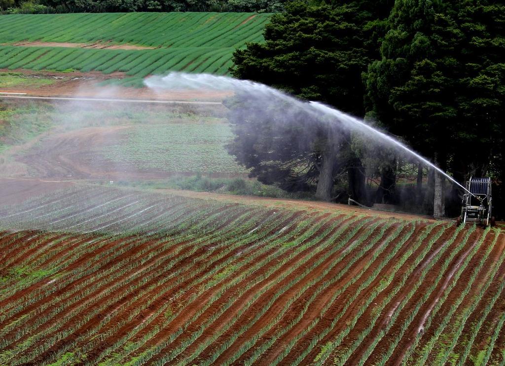 Landwirtschaftliches Feld mit verschiedenen Kulturen, einer Bewässerungsmaschine im Vordergrund und einer Baumreihe mit weiteren Kulturen im Hintergrund.
