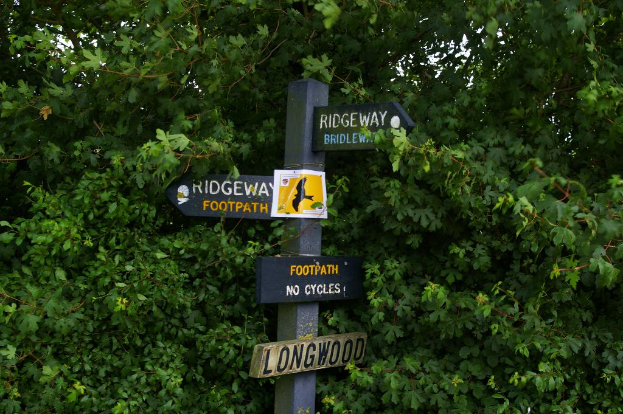 Ein Mast mit vier Richtungsschildern daran, umgeben von grünen Blättern im Hintergrund.