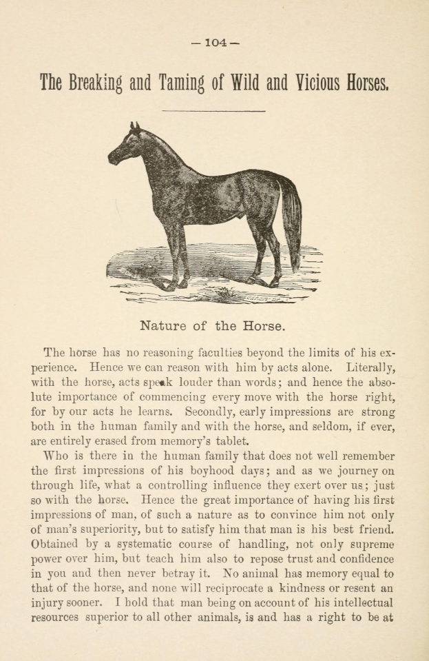 Ein Blatt mit einer Zeichnung eines hochstehenden Pferdes mit wehender Mähne und Schweif, weit aufgerissenen Augen und gespitzten Ohren, neben fettgedrucktem Text, der "Die Zähmung wilder und bösartiger Pferde" lautet.