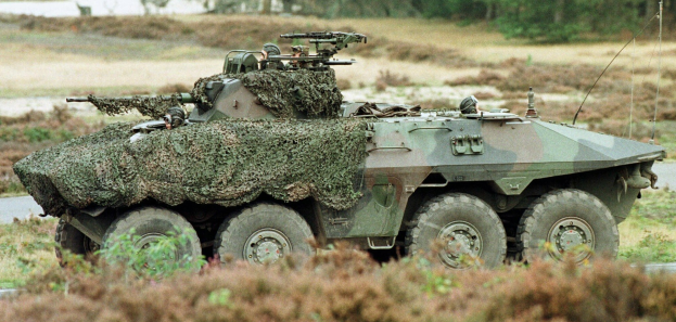 Militärpersonentransporter mit montierter großer Kanone, der auf einer Straße neben einem Wald fährt, Pflanzen unten und Bäume im Hintergrund.