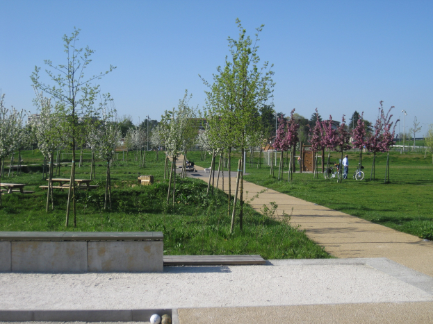 Ein parkartiger Weg, gesäumt von Bäumen und Bänken, auf dem Menschen Fahrräder fahren, mit Gebäuden und einem klaren blauen Himmel im Hintergrund und saftigem grünem Gras, das den Boden bedeckt.