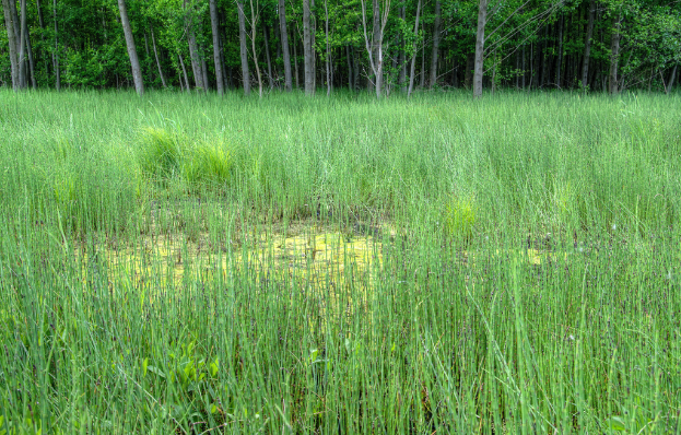 Ein landwirtschaftlicher Betrieb mit Bäumen oben im Bild.