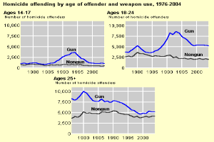 Eine Liniengrafik, die die Tötungsdelikte nach Alter des Täters und Waffennutzung von 1976 bis 2004 zeigt, mit begleitendem Text.