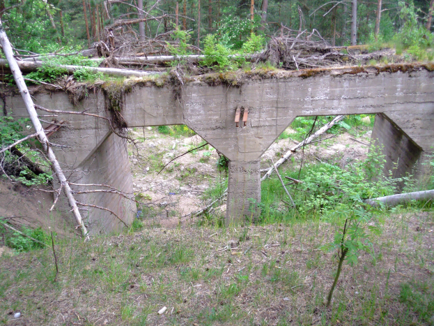 Eine alte, baufällige Betonbrücke in einem Wald, umgeben von Bäumen und Pflanzen, mit zerbrochenem Holz und Schutt drumherum.