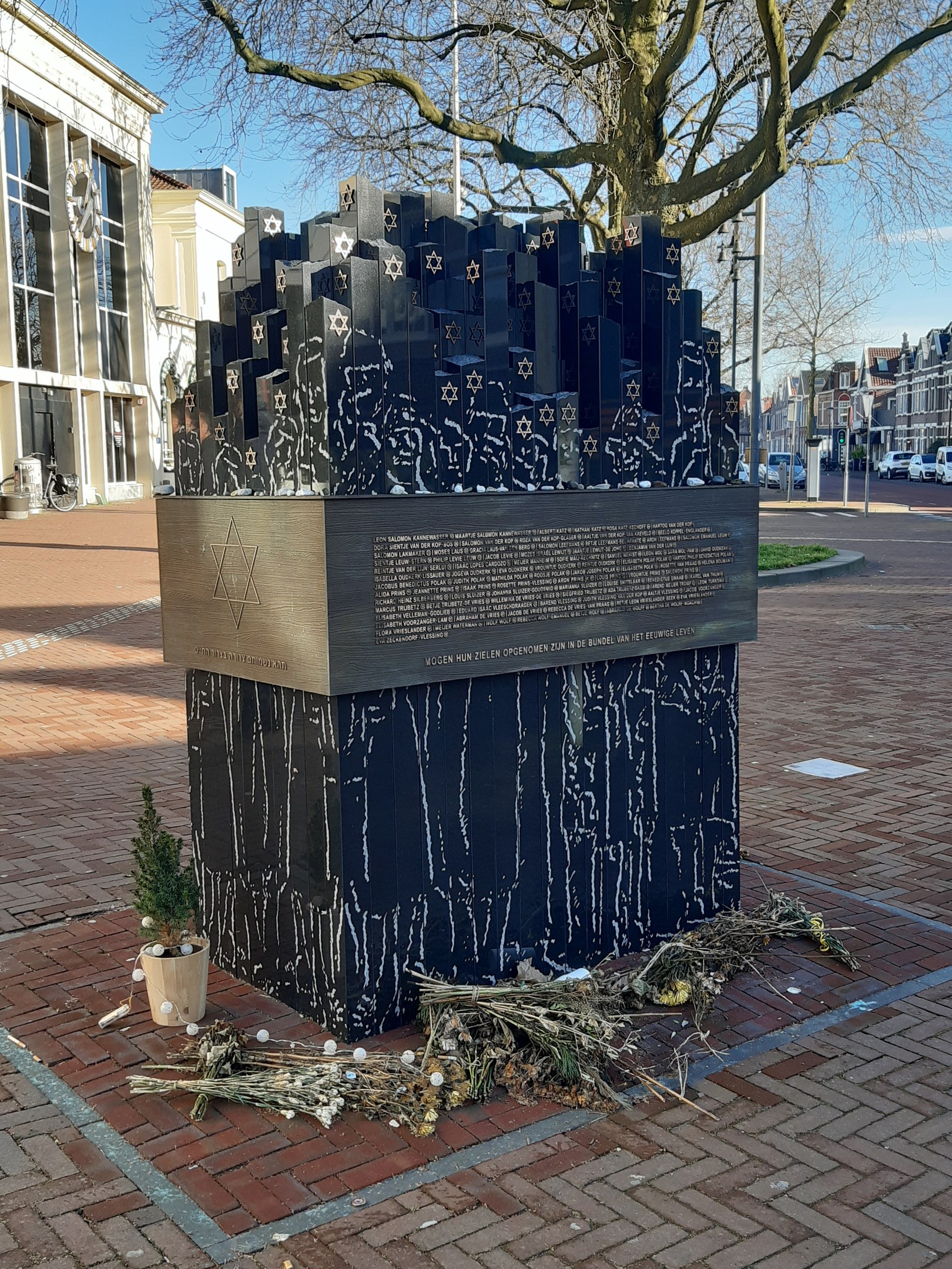 Denkmal in einem Stadtplatz für Holocaust-Opfer, mit einem Baum davor, einer Topfpflanze, verstreuten trockenen Blättern und Gebäuden, Fahrzeugen, Masten und Bäumen im Hintergrund.