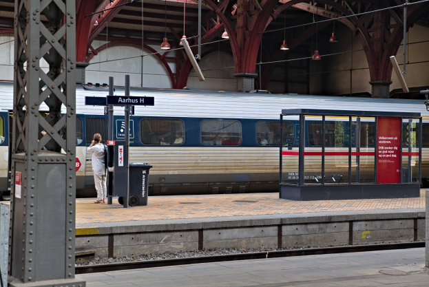 Ein Zug fährt auf ein Bahnsteiggleis mit einer Person in der Nähe, einem Müllcontainer, Pfölen, Informationsanzeigen und Deckenleuchten.