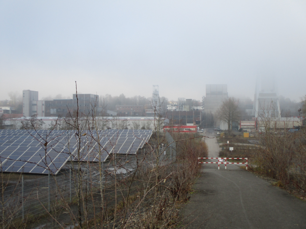 Ein von Bäumen und Pflanzen gesäumter Weg mit Gebäuden im Hintergrund, von denen eines Solarpaneele auf dem Dach hat, unter einem sichtbaren Himmel.