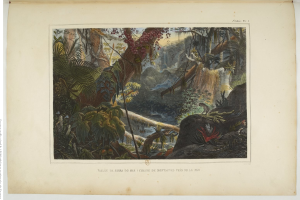 Ein aufgeschlagenes Buch mit einer Malerei einer üppigen Dschungelszene mit Bäumen, Pflanzen, Felsen und einem Wasserfall, mit Text unten.